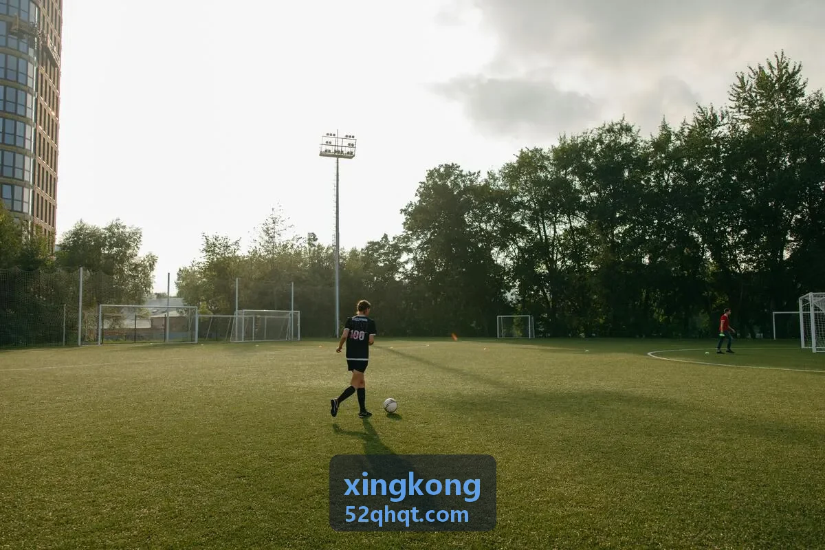 xingkong智能分析